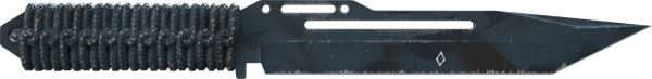 ★ StatTrak™ Paracord Knife | Night Stripe