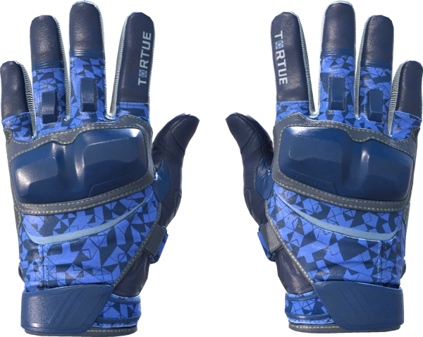 ★ Moto Gloves | Polygon