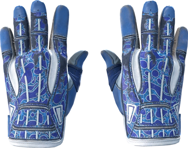 ★ Sport Gloves | Amphibious