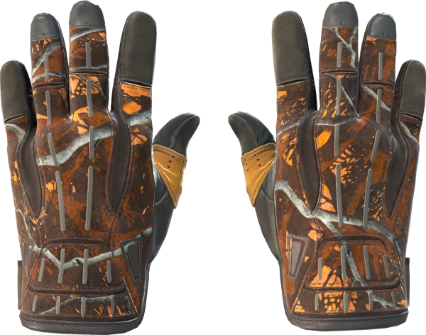 ★ Sport Gloves | Big Game