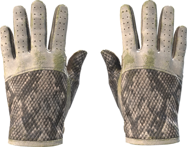★ Driver Gloves | King Snake