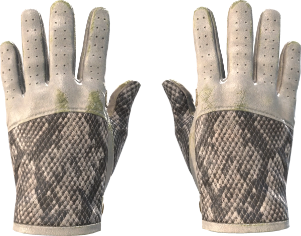 ★ Driver Gloves | King Snake