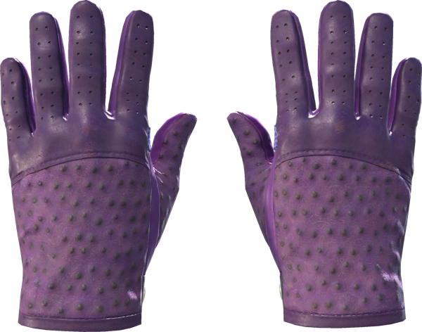 ★ Driver Gloves | Plum Quill