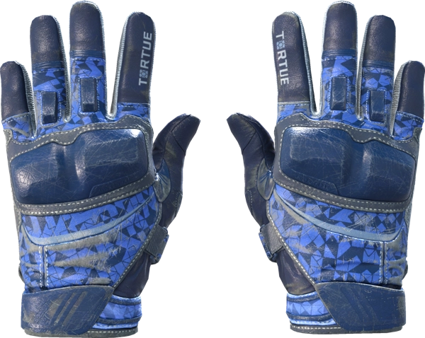 ★ Moto Gloves | Polygon