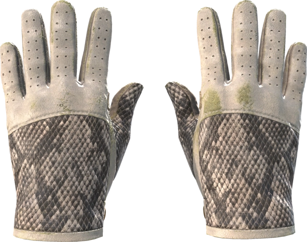 ★ Driver Gloves | King Snake