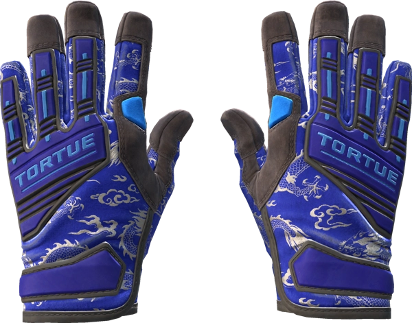 ★ Specialist Gloves | Cloud Chaser