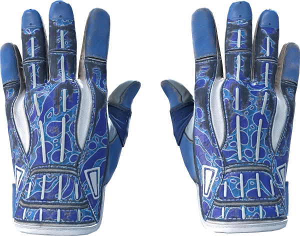 ★ Sport Gloves | Amphibious