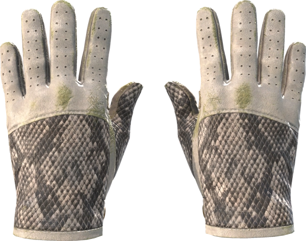 ★ Driver Gloves | King Snake