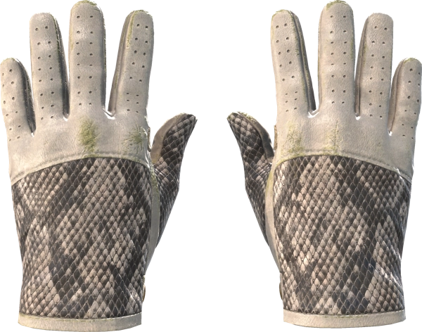 ★ Driver Gloves | King Snake