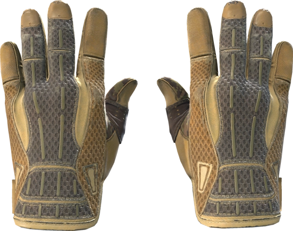 ★ Sport Gloves | Arid
