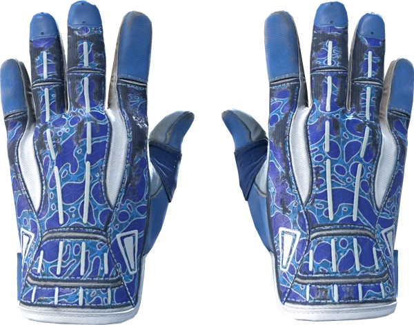 ★ Sport Gloves | Amphibious
