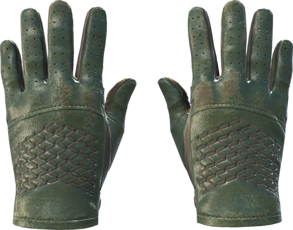 ★ Driver Gloves | Racing Green