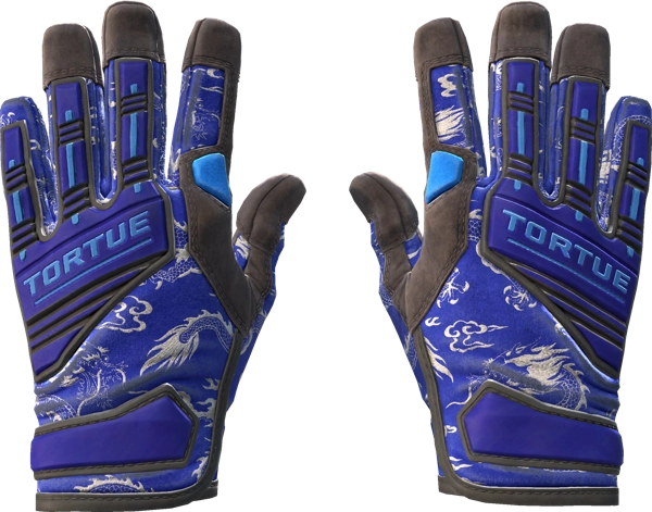 ★ Specialist Gloves | Cloud Chaser