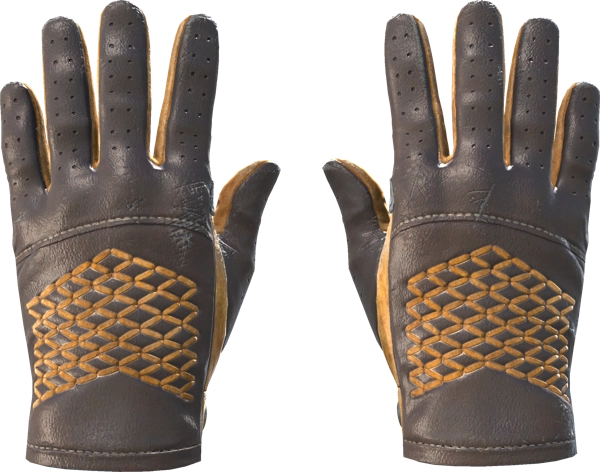 ★ Driver Gloves | Overtake