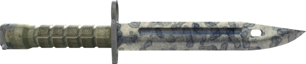 ★ Bayonet | Stained