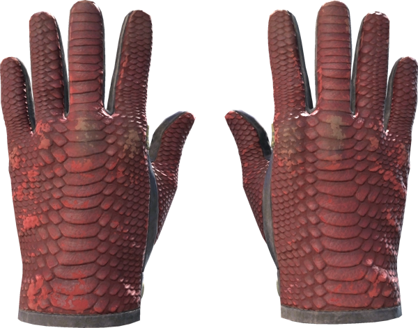 ★ Driver Gloves | Dragon Fists