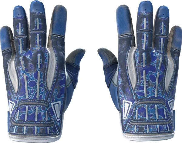 ★ Sport Gloves | Amphibious