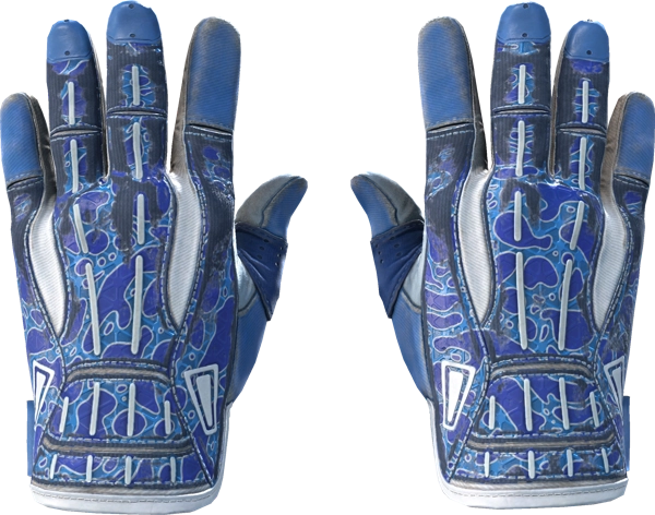 ★ Sport Gloves | Amphibious