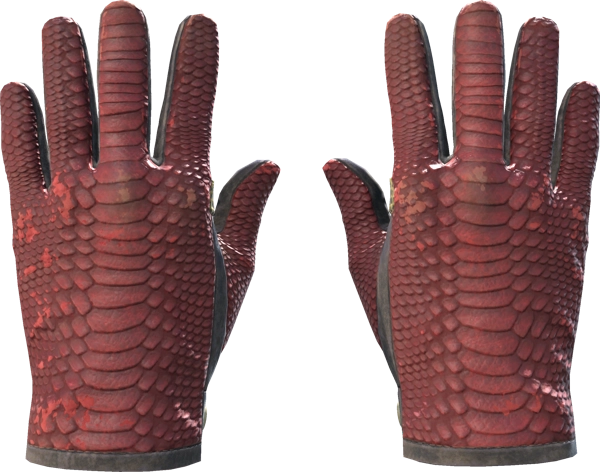 ★ Driver Gloves | Dragon Fists