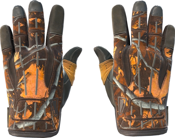 ★ Sport Gloves | Big Game