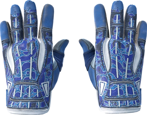 ★ Sport Gloves | Amphibious