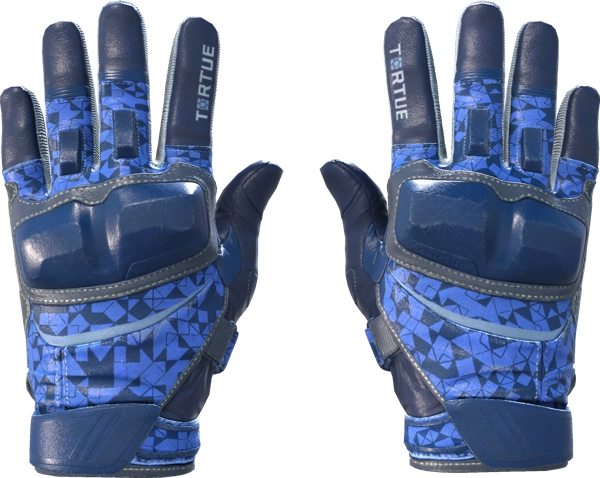 ★ Moto Gloves | Polygon