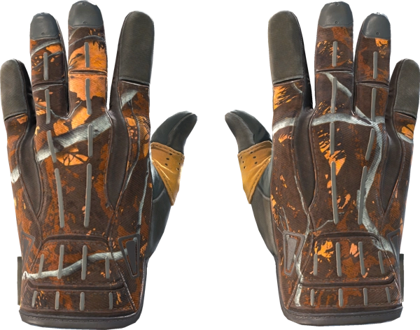 ★ Sport Gloves | Big Game