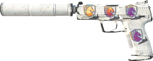 USP-S | Whiteout