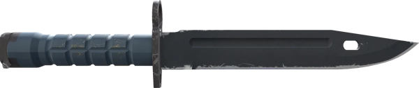 ★ Bayonet | Night