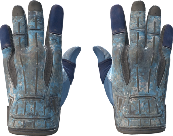 ★ Sport Gloves | Frosty