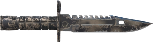 ★ M9 Bayonet | Scorched
