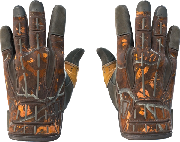 ★ Sport Gloves | Big Game