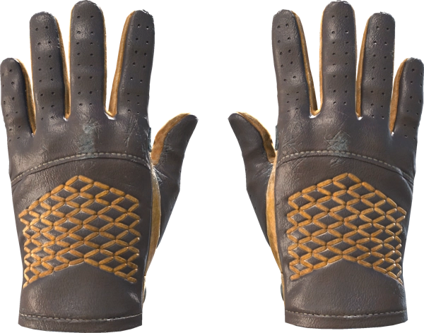★ Driver Gloves | Overtake