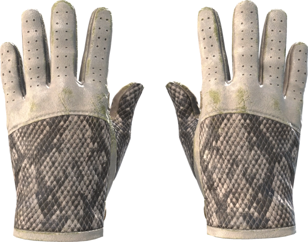★ Driver Gloves | King Snake