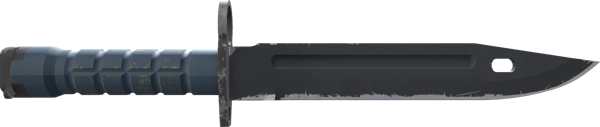 ★ Bayonet | Night