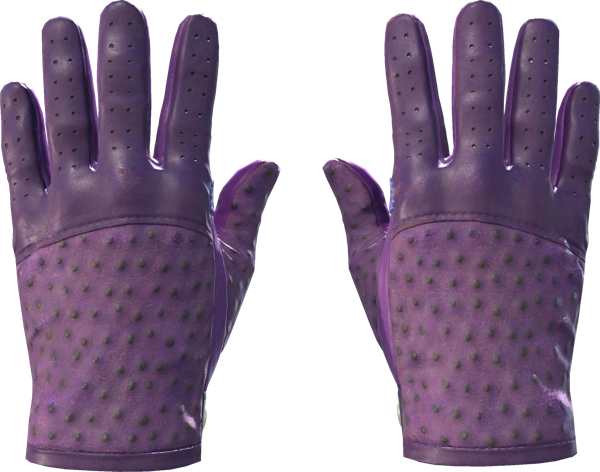 ★ Driver Gloves | Plum Quill