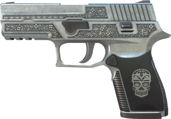 P250 | Cartel