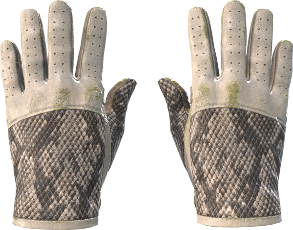 ★ Driver Gloves | King Snake