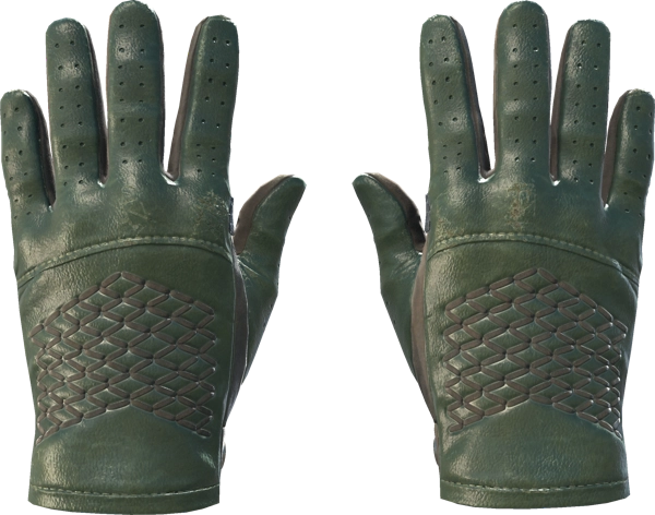 ★ Driver Gloves | Racing Green