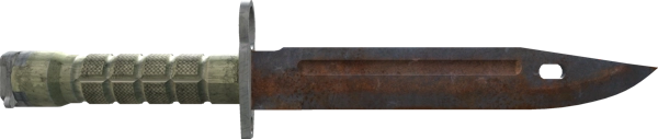 ★ Bayonet | Rust Coat