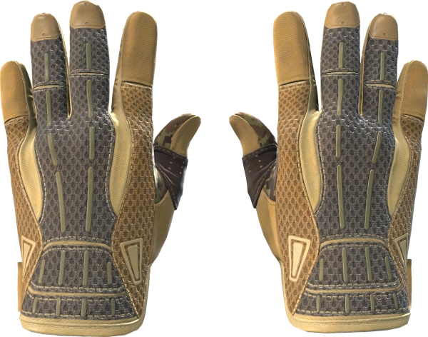 ★ Sport Gloves | Arid