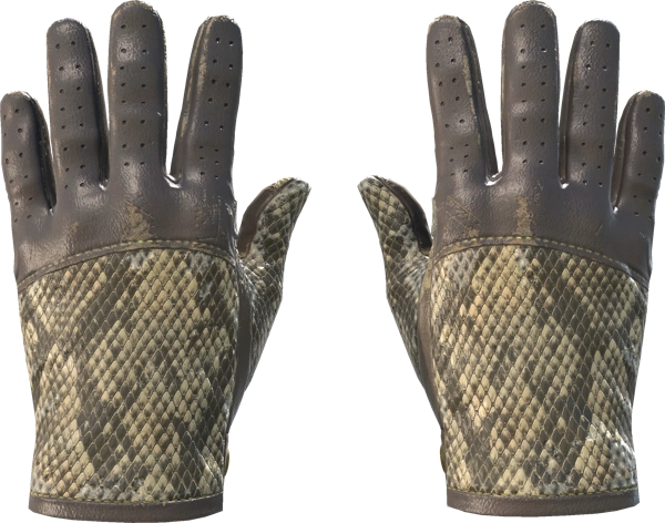 ★ Driver Gloves | Diamondback