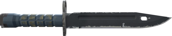 ★ StatTrak™ Bayonet | Night