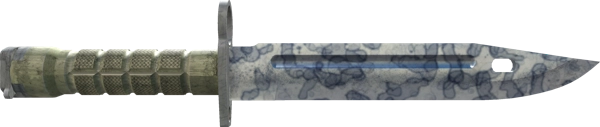 ★ Bayonet | Stained