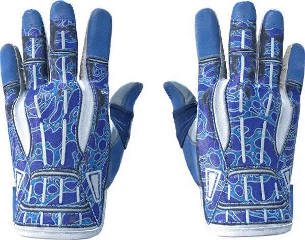 ★ Sport Gloves | Amphibious