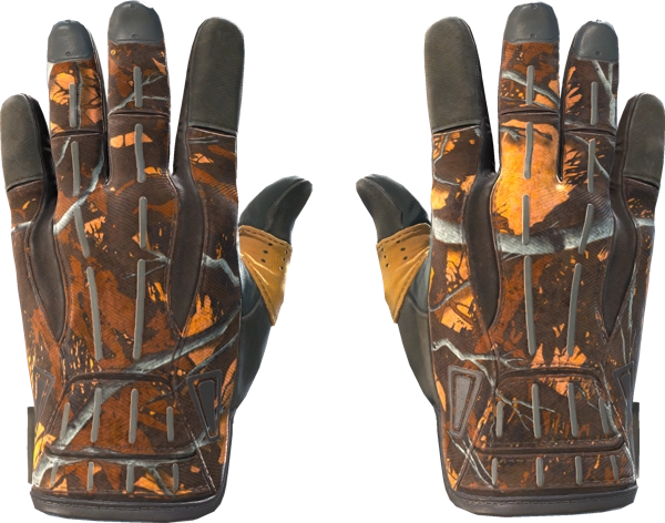 ★ Sport Gloves | Big Game
