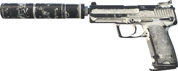USP-S | Whiteout