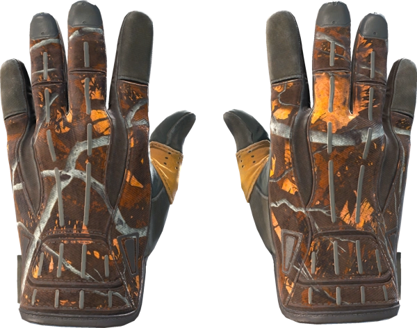 ★ Sport Gloves | Big Game