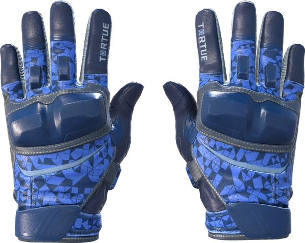 ★ Moto Gloves | Polygon