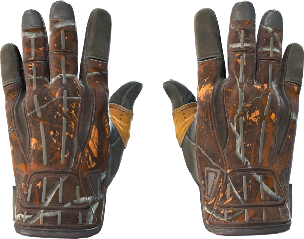 ★ Sport Gloves | Big Game